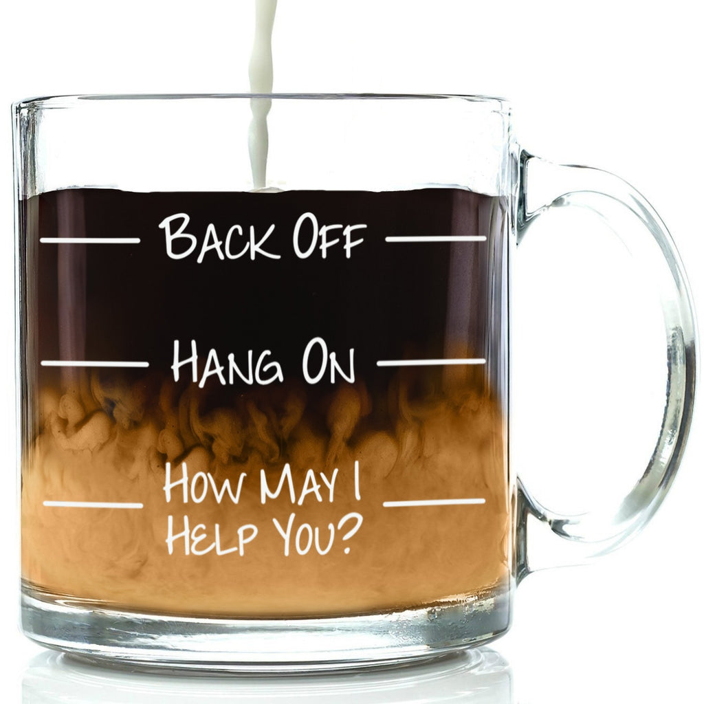 back off hang on how may i help you funny coffee mug go away glass cup best office gift birthday gift idea for men women friend coworker unique christmas present novelty xmas stocking stuffer