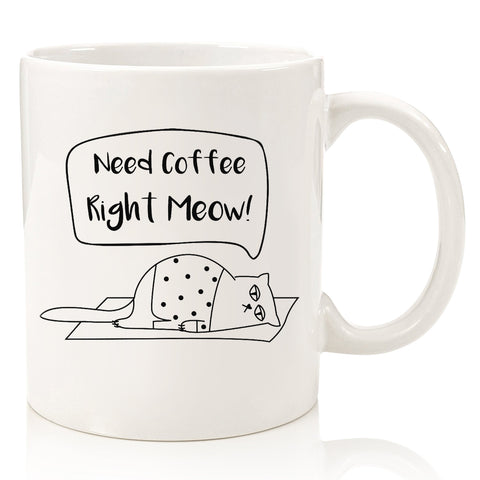 need coffee right meow funny cat coffee mug cup gift for cat lover person grumpy cat i do what i want middle finger christmas present xmas for mom dad brother sister best friend birthday gift idea