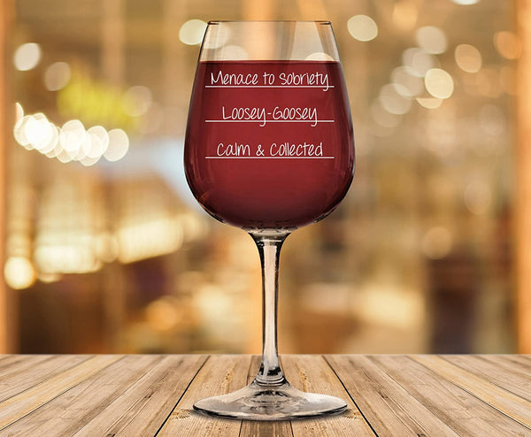 Menace To Sobriety Funny Wine Glass - Best Christmas Gag Gifts for Women, Mom - Unique Xmas BFF Gifts for Her - Cool Bday Present Idea from Husband, Son, Daughter - Fun Novelty Gifts for Wife, Friend