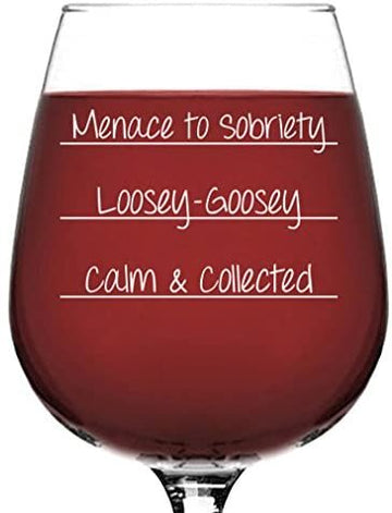 Menace To Sobriety Funny Wine Glass - Best Christmas Gag Gifts for Women, Mom - Unique Xmas BFF Gifts for Her - Cool Bday Present Idea from Husband, Son, Daughter - Fun Novelty Gifts for Wife, Friend