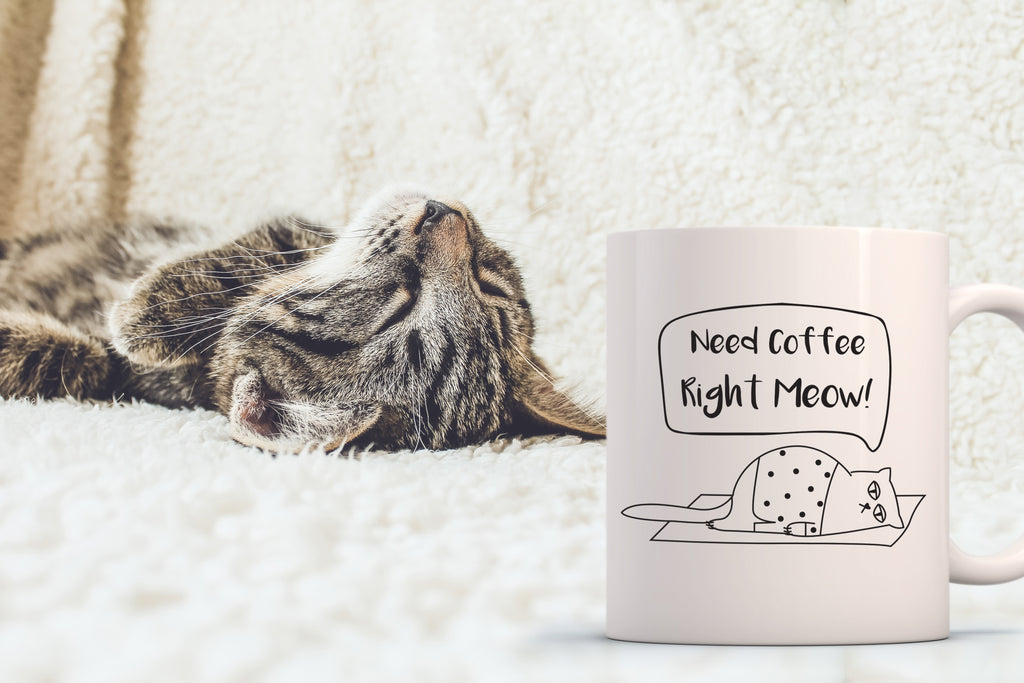 Cute Cat Cups Coffee Glass Mugs Cat Gifts for Cat Lovers Women