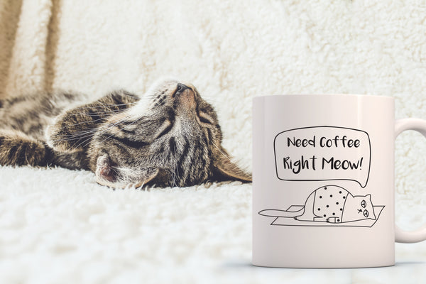 Need Coffee Meow Funny Cat Mug - Best Christmas Gifts for Women, Men, Wife - Unique Cat Themed Birthday Present Idea - Fun Coffee Cup for Cat Mom, Dad, Lover, Lady - Cool Cat Gifts from Son, Daughter